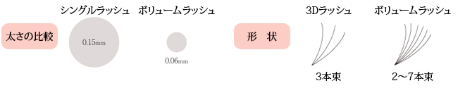 太さの比較と形状