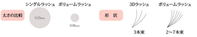 太さの比較と形状