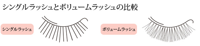 シングルラッシュとボリュームラッシュの比較